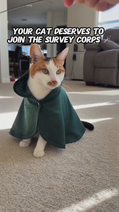 Survey Corps Cat Cape 🗡️